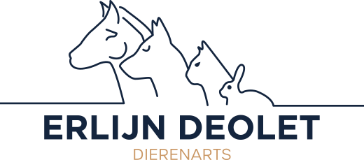 Erlijn Deolet Logo